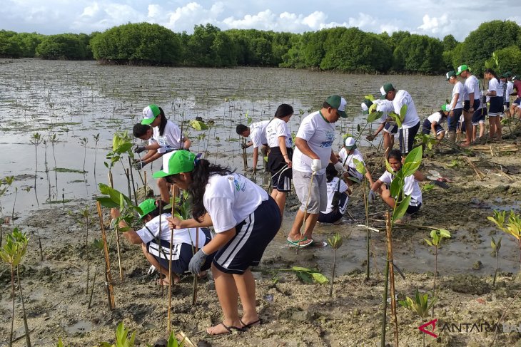 Penanaman Pohon Mangrove