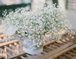 Bunga Baby’s Breath