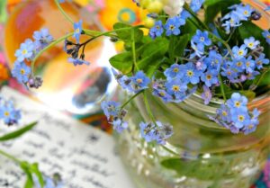 Bunga Forget Me Not