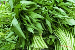 Sayuran Kangkung