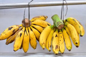 Pisang