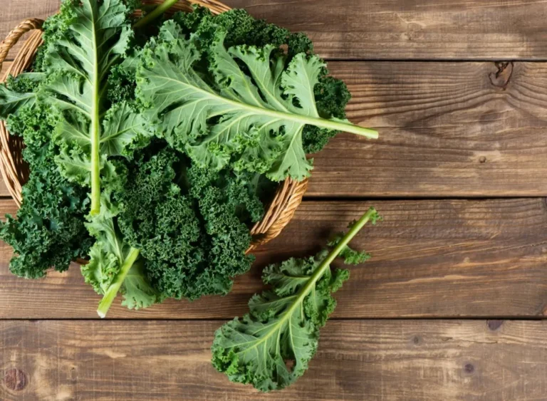 Sayuran Kale