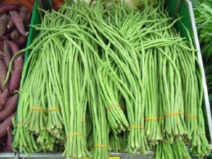 sayuran Kacang Panjang